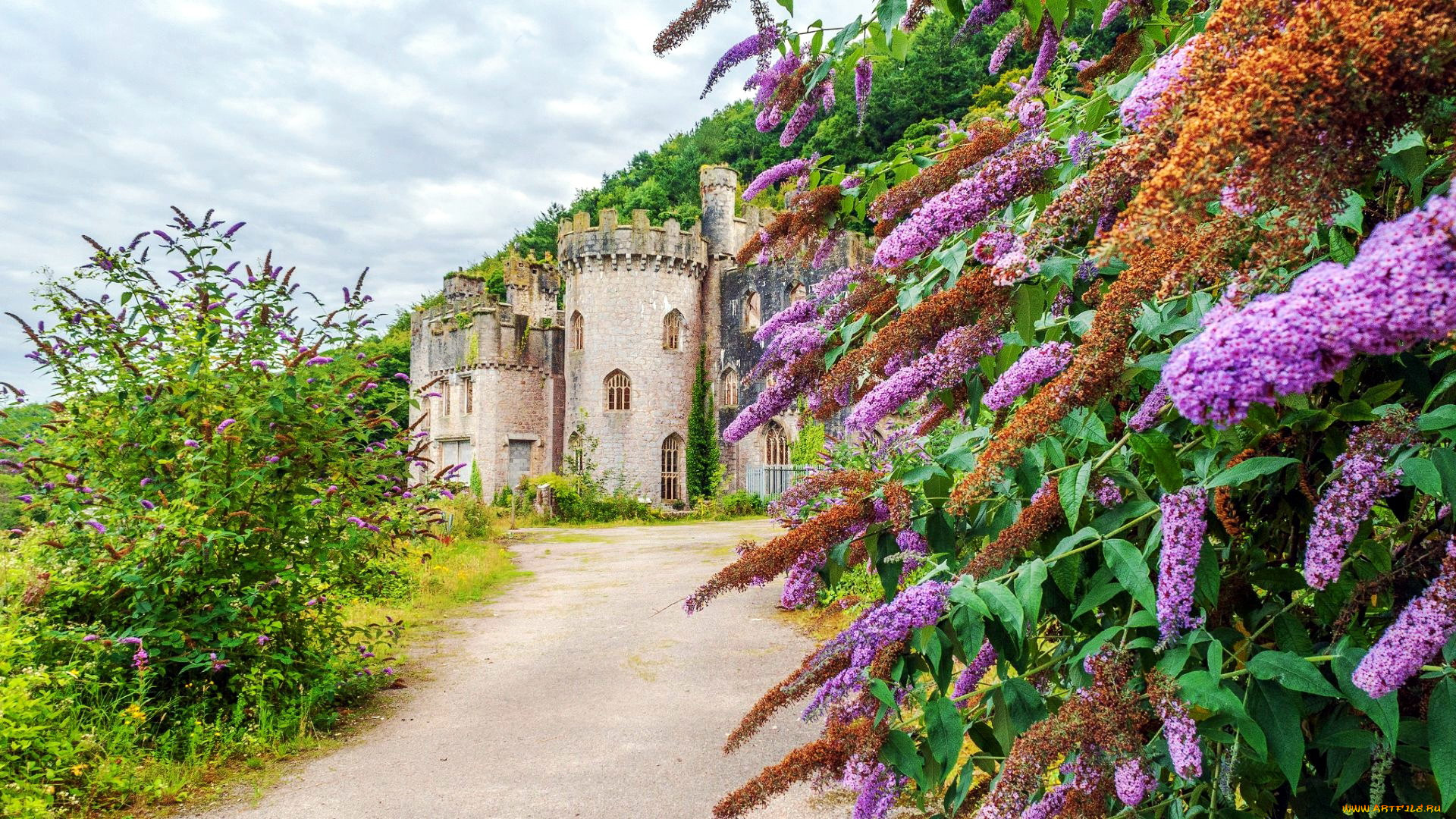 grych castle, wales, uk, ,  , grych, castle